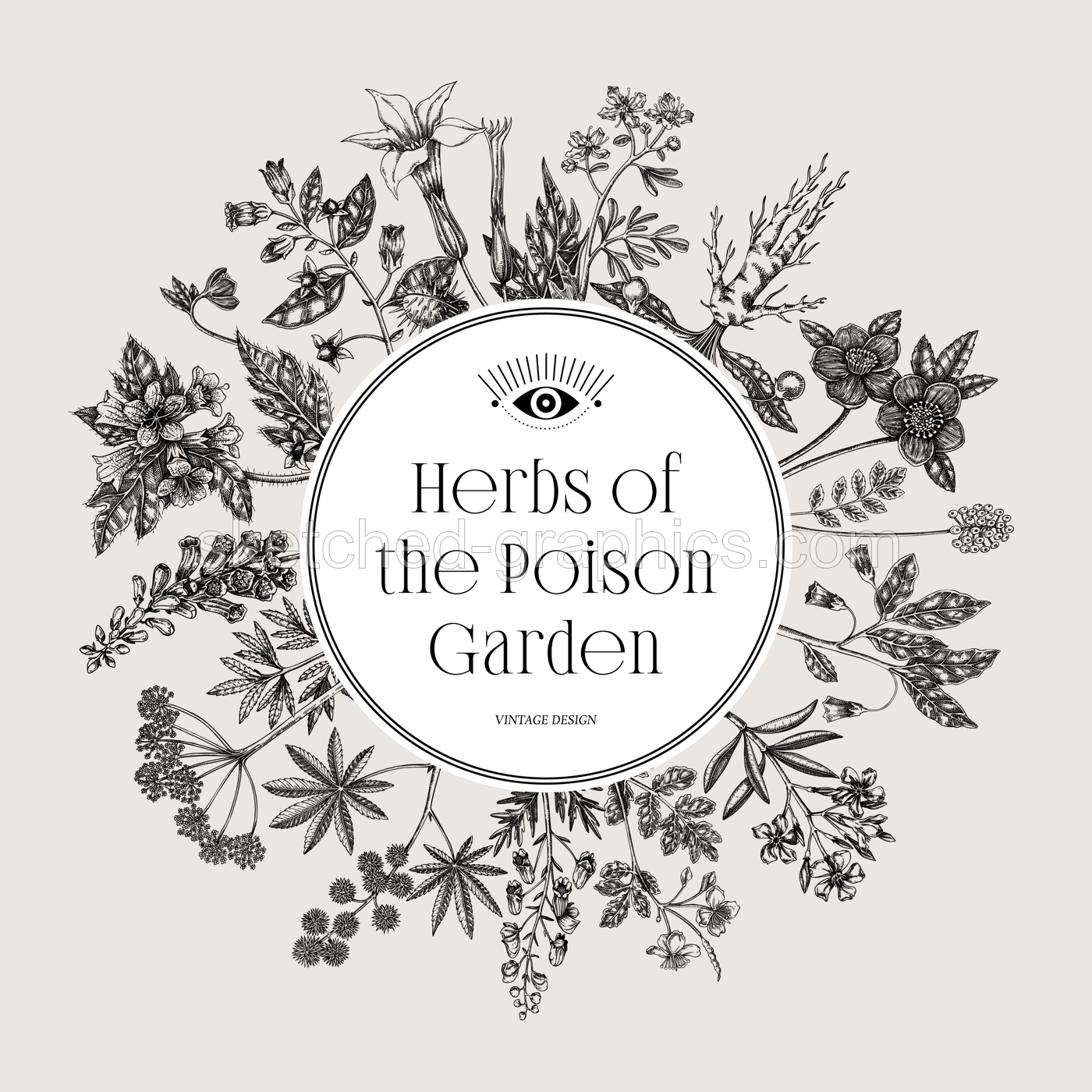 Witchcraft frame design. Poisonous plants hand drawn vector illustration. Witch herbs apothecary vintage card, invitation, print. NOT AI generated Illustration